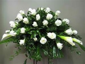 Photo 255271